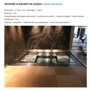 Spa en inox Steel and Style récompensé d'un Trophée d'argent aux Trophées de la piscine 2017, article de L'Activité Piscine